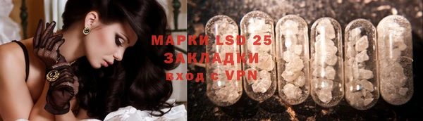 шишки Балахна