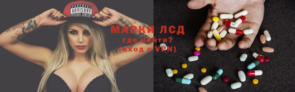 прущие грибы Балабаново