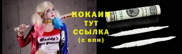 шишки Балахна