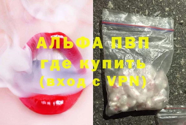 прущие грибы Балабаново