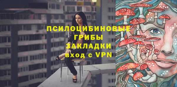 прущие грибы Балабаново
