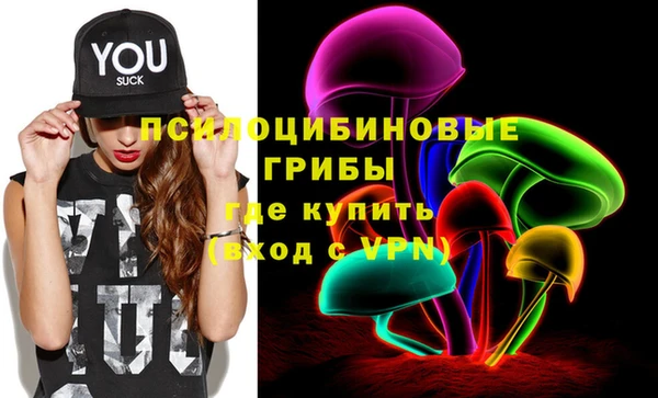 шишки Балахна